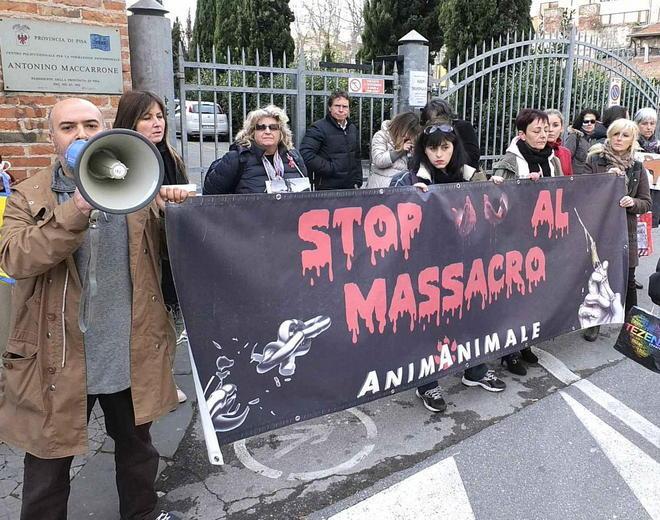 Caccia alla volpe, la Provincia va avanti 