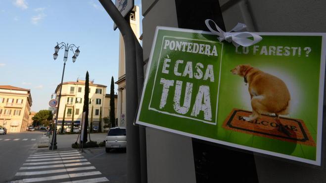Contro i cani che sporcano arriva un manifesto