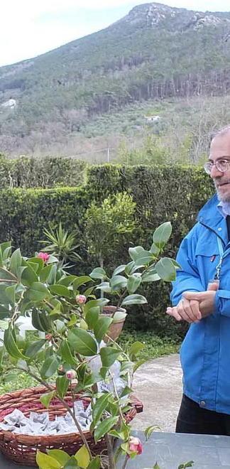 Proiezioni in 3D per salutare la mostra delle camelie
