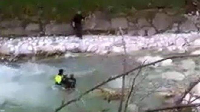 Salvato un capriolo finito nel fiume