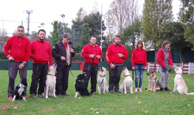 Undici soccorritori a 4 zampe 