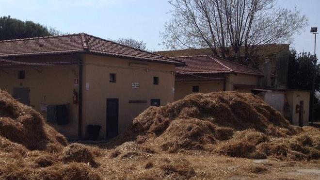 Viaggio nell'ippodromo abbandonato, cumuli di letame al Caprilli