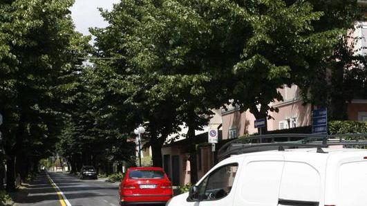 Viabilità estiva, Felici dice no allo stop alle ciclabili
