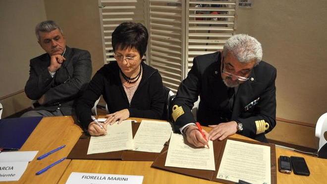In pericolo delfini e stenelle segnale di inquinamento