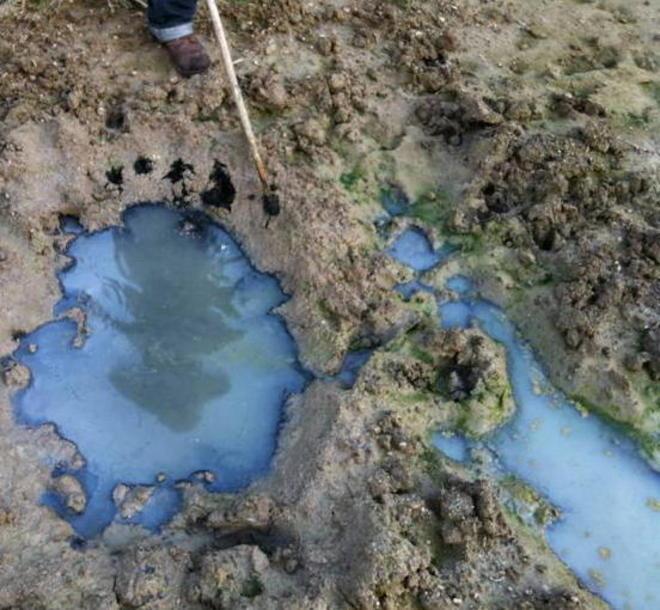 Dai colori non sembra fertilizzante 