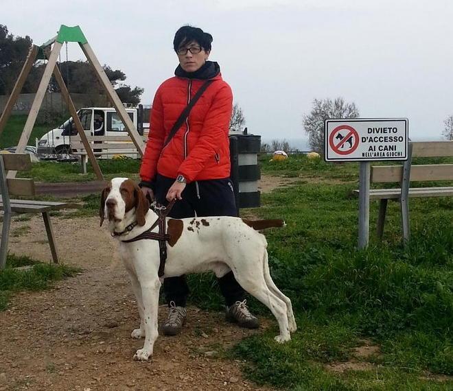 A spasso col cane in mezzo ai divieti 