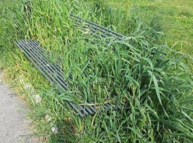 Ecco la «panchina ecologica» 