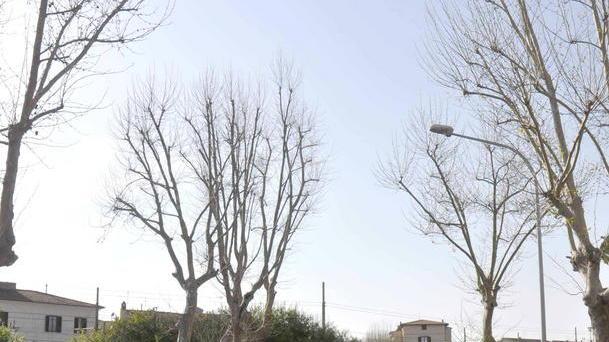 «Parcheggio selvaggio in via Matteotti»