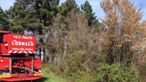 Auto fuori strada per evitare un cervo