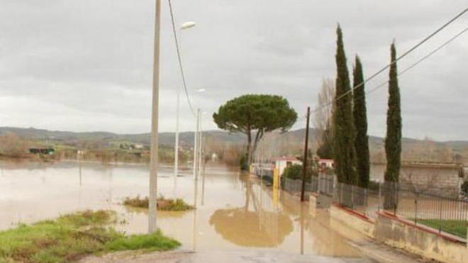 «Quel muro non serve, draghiamo il fiume»
