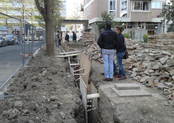 «La nostra battaglia per salvare quegli alberi» 