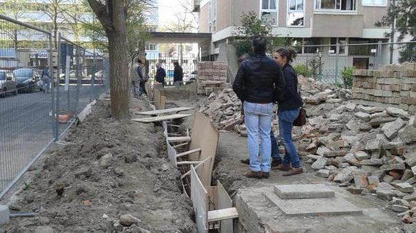 «La nostra battaglia per salvare quegli alberi»