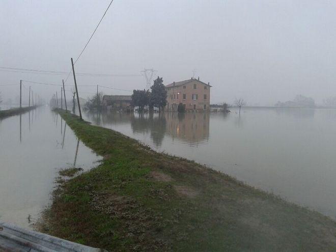 Alluvione: 54 milioni di euro di danni in agricoltura 