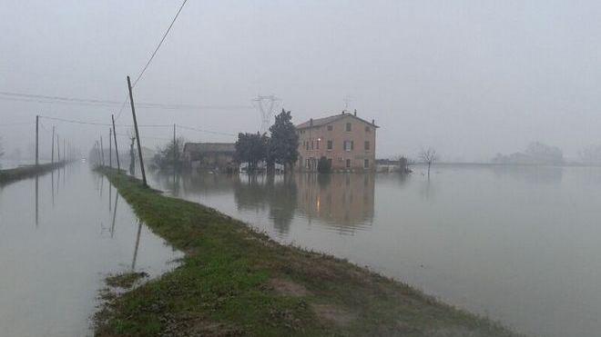 Alluvione: 54 milioni di euro di danni in agricoltura
