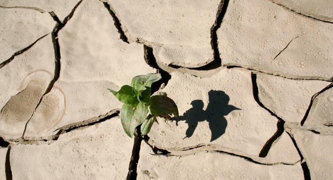 Cambiamenti climatici, esperti da tutto il mondo 