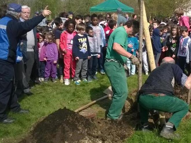Nuova area verde alle Carducci 