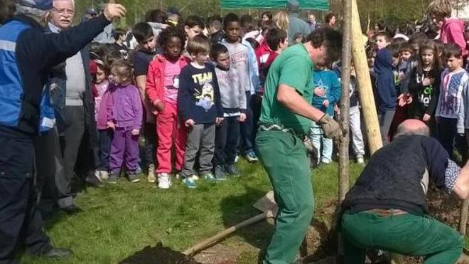 Nuova area verde alle Carducci