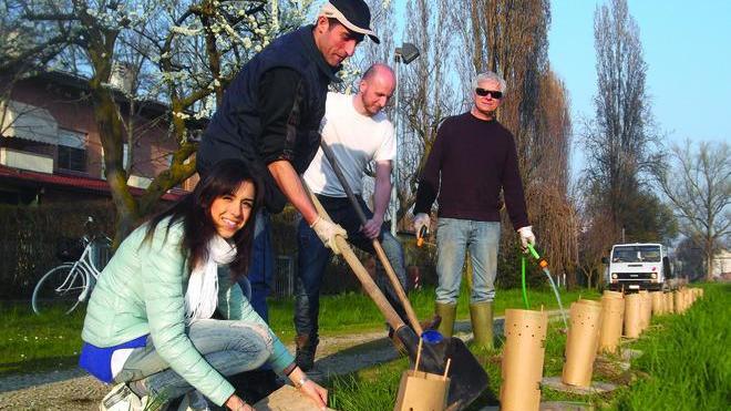 Un nuovo “bosco” per la città