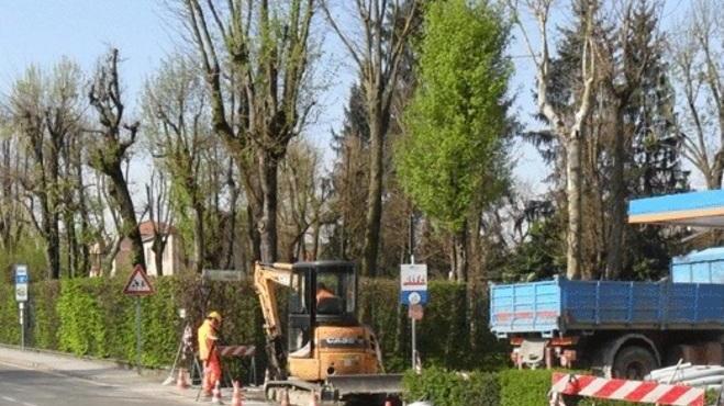 Portile, semaforo per rendere più sicuro l’attraversamento dei pedoni