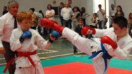 Domenica 13 torna il karate per i giovani