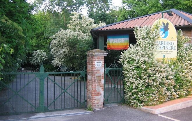 Trovata un’oca nel carrello della spesa