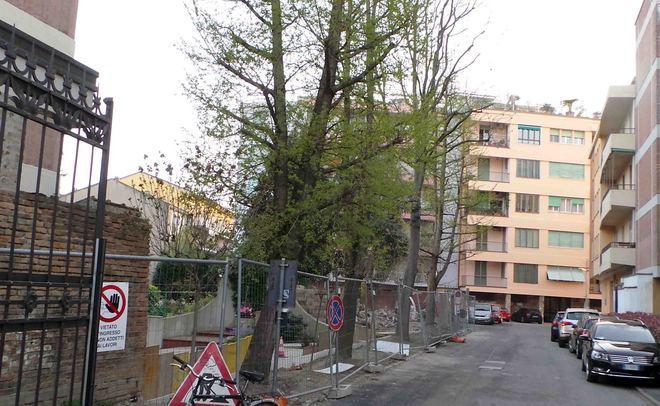 Accordo vicino per alberi di viale Cavour 