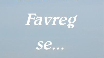 Da Facebook al libro “At se ed Favreg se...”