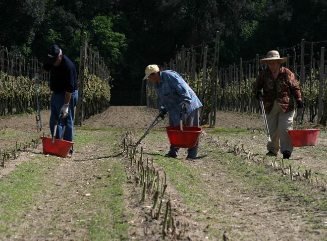 «Braccianti sfruttati», scoppia la polemica 