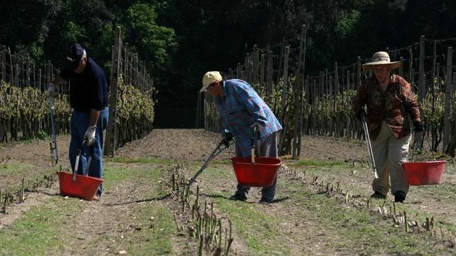 «Braccianti sfruttati», scoppia la polemica