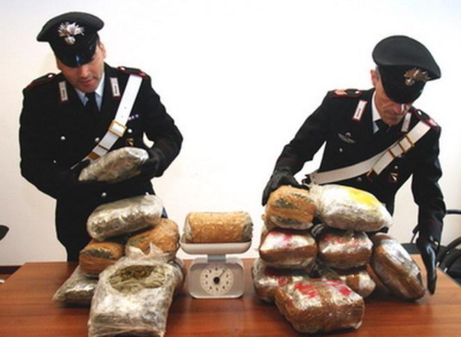 Diciassette chili di marijuana scoperti a Campogalliano 