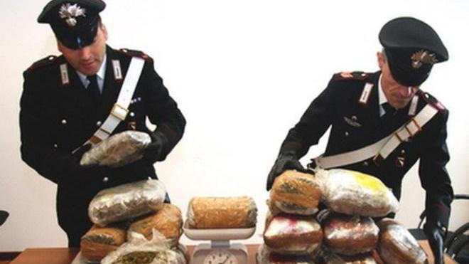 Diciassette chili di marijuana scoperti a Campogalliano