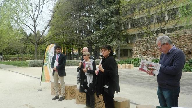 Podismo, in 3.500 al Vivicittà