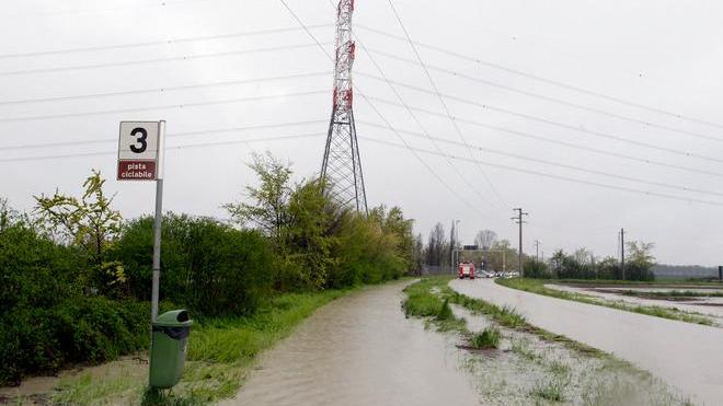 Tronchi nel Tiepido: sott’acqua via Gherbella - VIDEO - FOTO