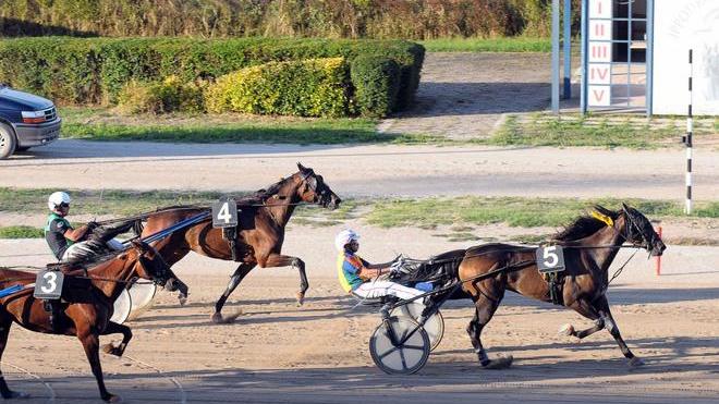Torna il grande trotto al Ghirlandina