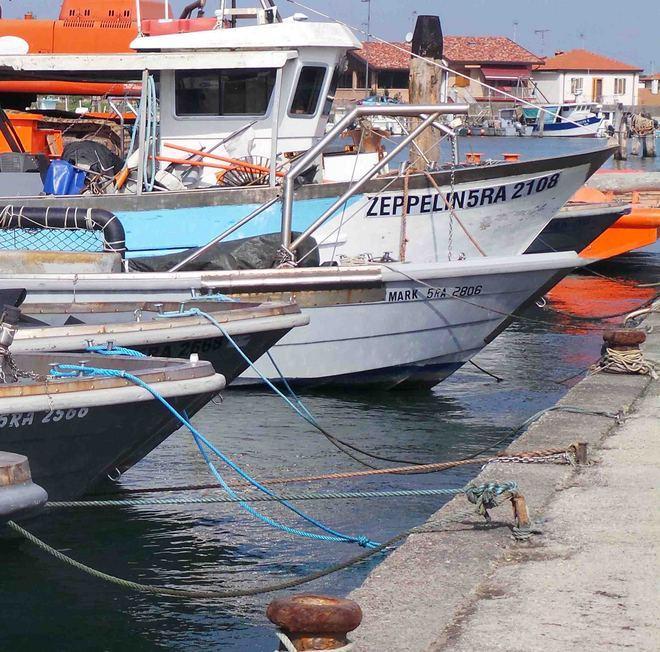 L’assessore Bellini «Valuteremo gli sviluppi del caso»