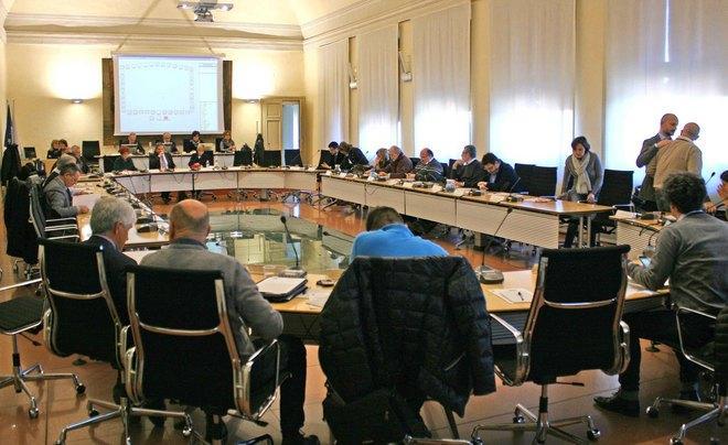 Ultimi Consigli tra Dragotto e neonati 