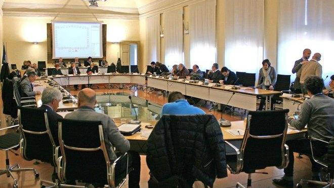 Ultimi Consigli tra Dragotto e neonati