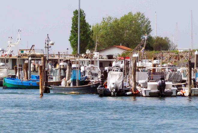 «Biogas, non va quell’impianto a Goro» 