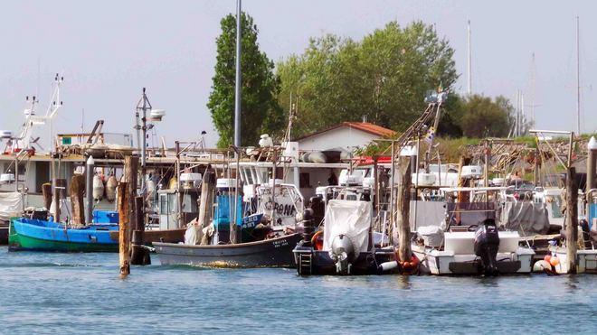 «Biogas, non va quell’impianto a Goro»