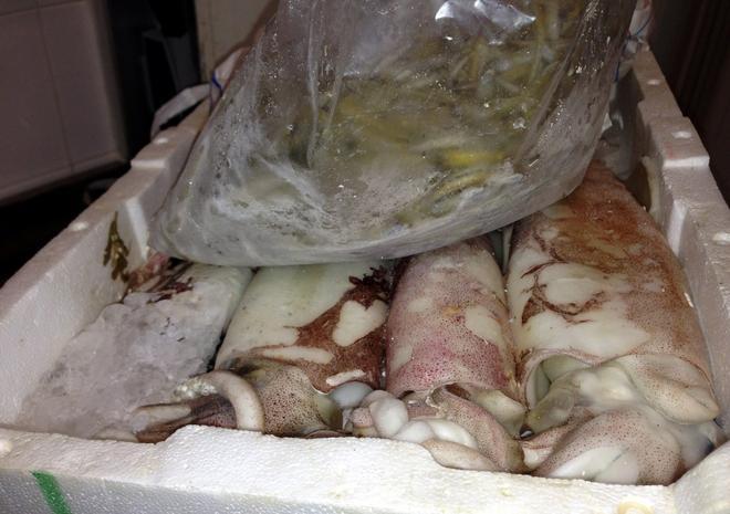 Polpi scaduti da cinque anni e cozze “postdatate”: sequestrati 