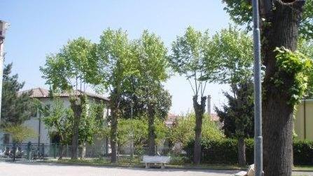 Premio Eccellenza al migliore studente delle scuole medie