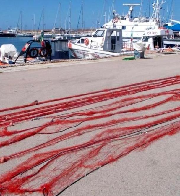 Sequestrati polpi scaduti da cinque anni 