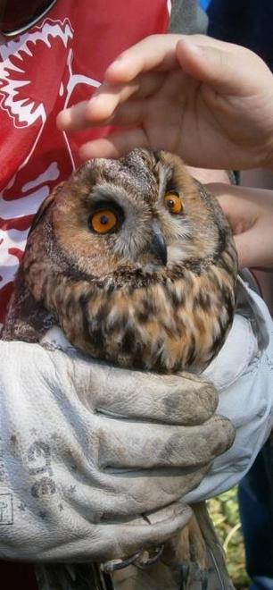 Riflettendo sulla natura in gita sulle rive del Po 