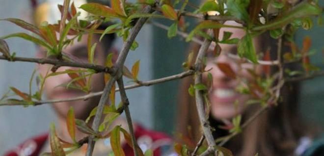 Quiz al Corteo matildico chi sono i protagonisti?