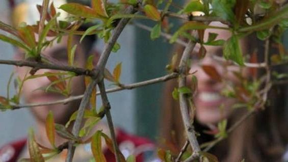 Quiz al Corteo matildico chi sono i protagonisti?