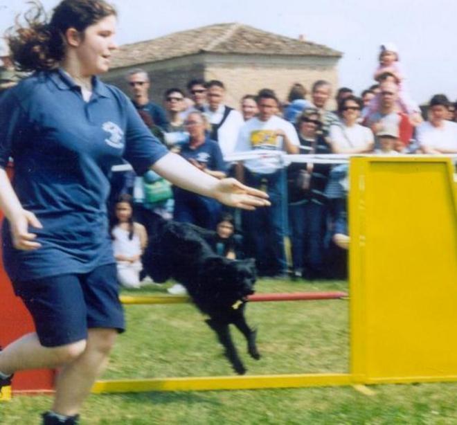 Sarà un pomeriggio da cani 