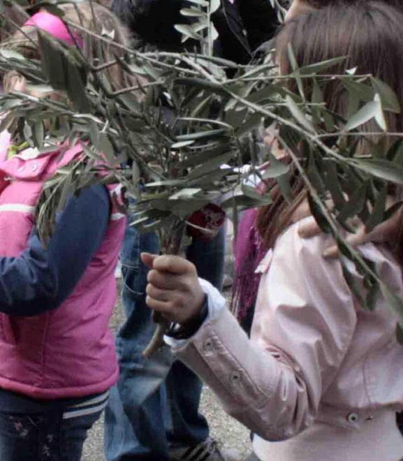 L’ulivo benedetto per entrare nella settimana santa