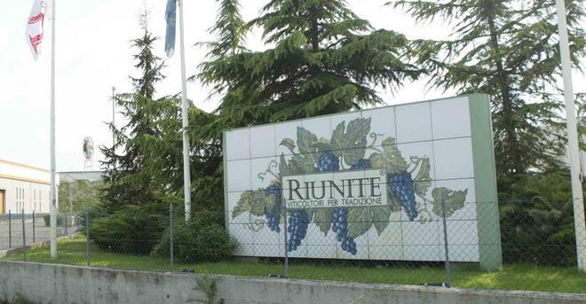 Cantine Riunite &amp; Civ primi produttori di vino 