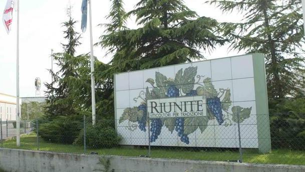Cantine Riunite & Civ primi produttori di vino