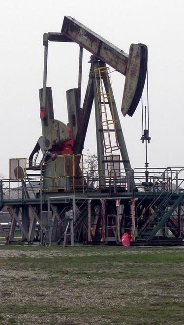 No Triv, oggi assedio a Errani in Regione 